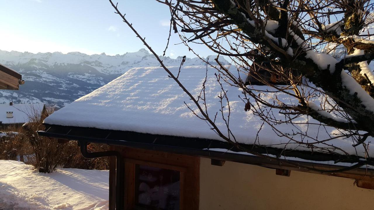 Chalet Cosy Proche Tramway Du Mont-Blanc Et Centre Сен-Жерве-ле-Бен Екстер'єр фото